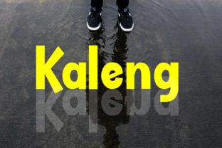Kaleng: A Modern Sans Serif Font with a Playful Twist